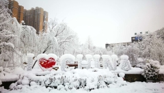 医院雪景