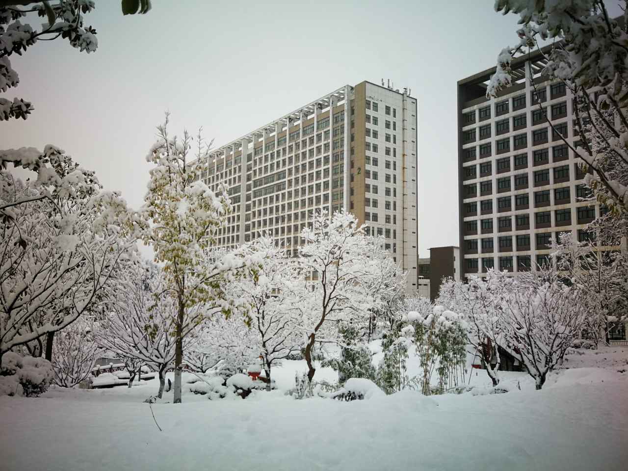 医院雪景 (2)